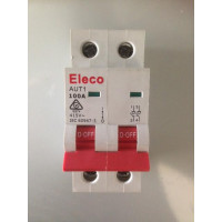 Main Switch - 2 Pole 100A